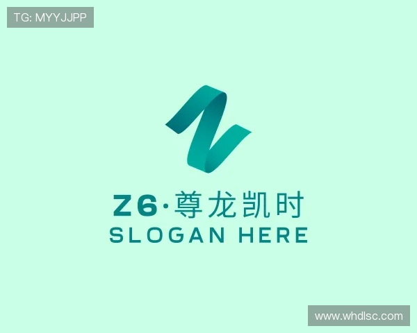 了解Z6·尊龙凯时